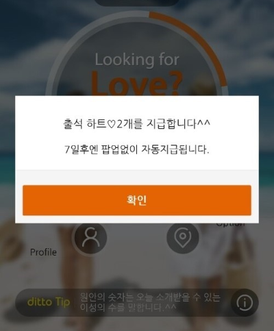 디토 이미지