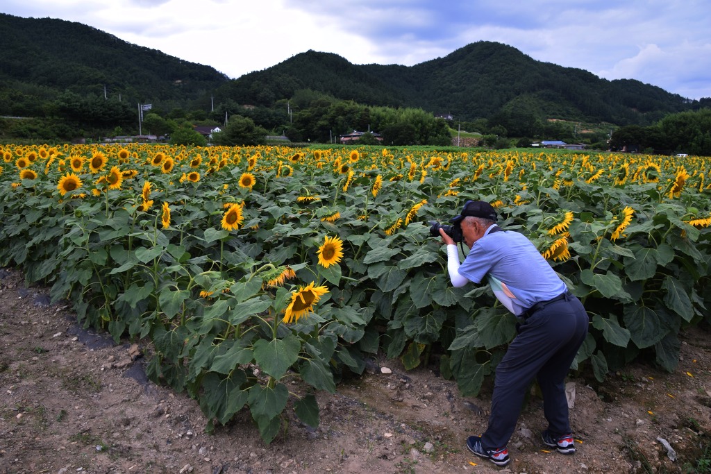 진안농원 이미지