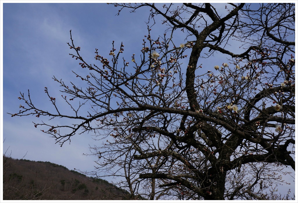 연지곤지각시방 이미지