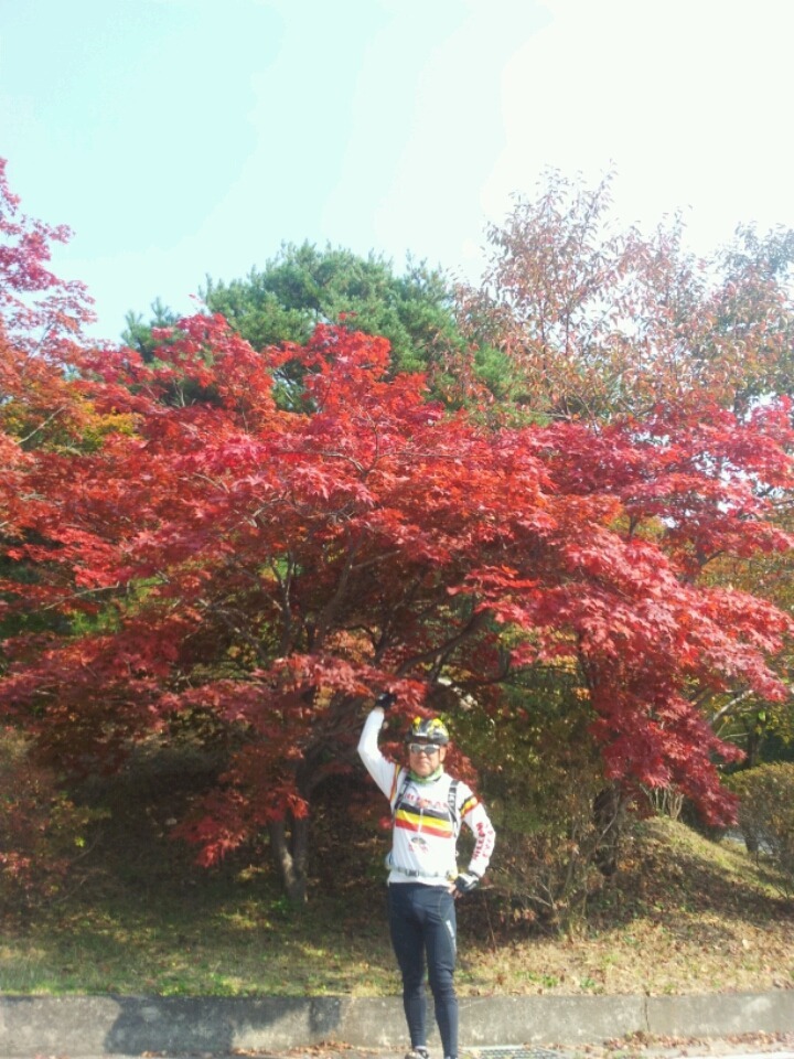 설매재 이미지