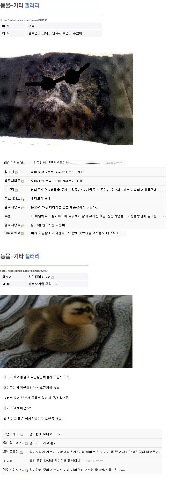 디씨의 흔한 줍기 클라스.jpg | 인스티즈