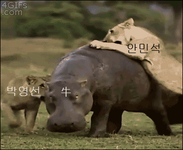오늘 청문회 요약해드리겠습니다!!!!!! | 인스티즈