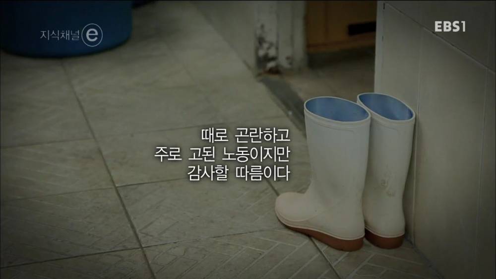 시간강사의 현실 | 인스티즈