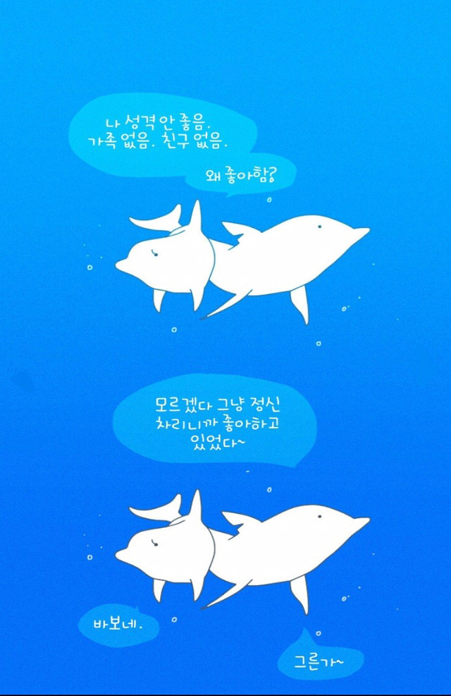 설레이는 동물 웹툰.jpg | 인스티즈