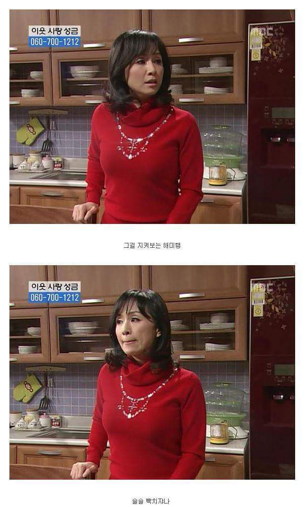[거침없이하이킥] 싹퉁바가지 며느리지만 내편일땐 든든하네??.jpg | 인스티즈