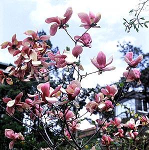 김*수 이미지