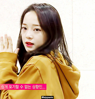 오늘자 프로듀스101 마이돌 득표율 순위 | 인스티즈