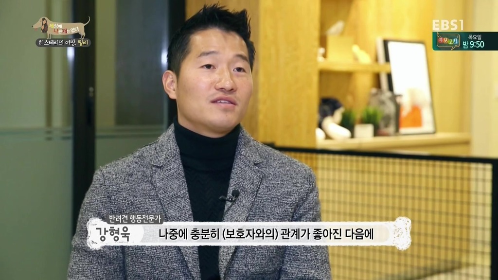 [세상에나쁜개는없다] 가족들에게 짖고 무는 강아지 릴리햏 | 인스티즈