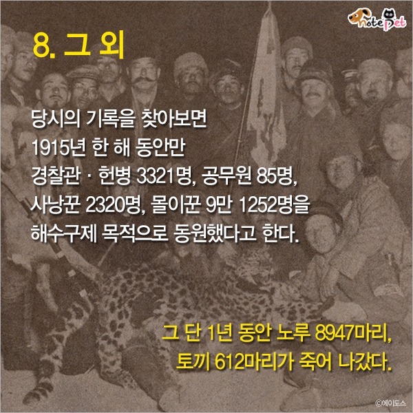  일제강점기 한반도에 사라진 동물들 | 인스티즈