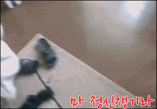 물수제비 끝판왕! | 인스티즈