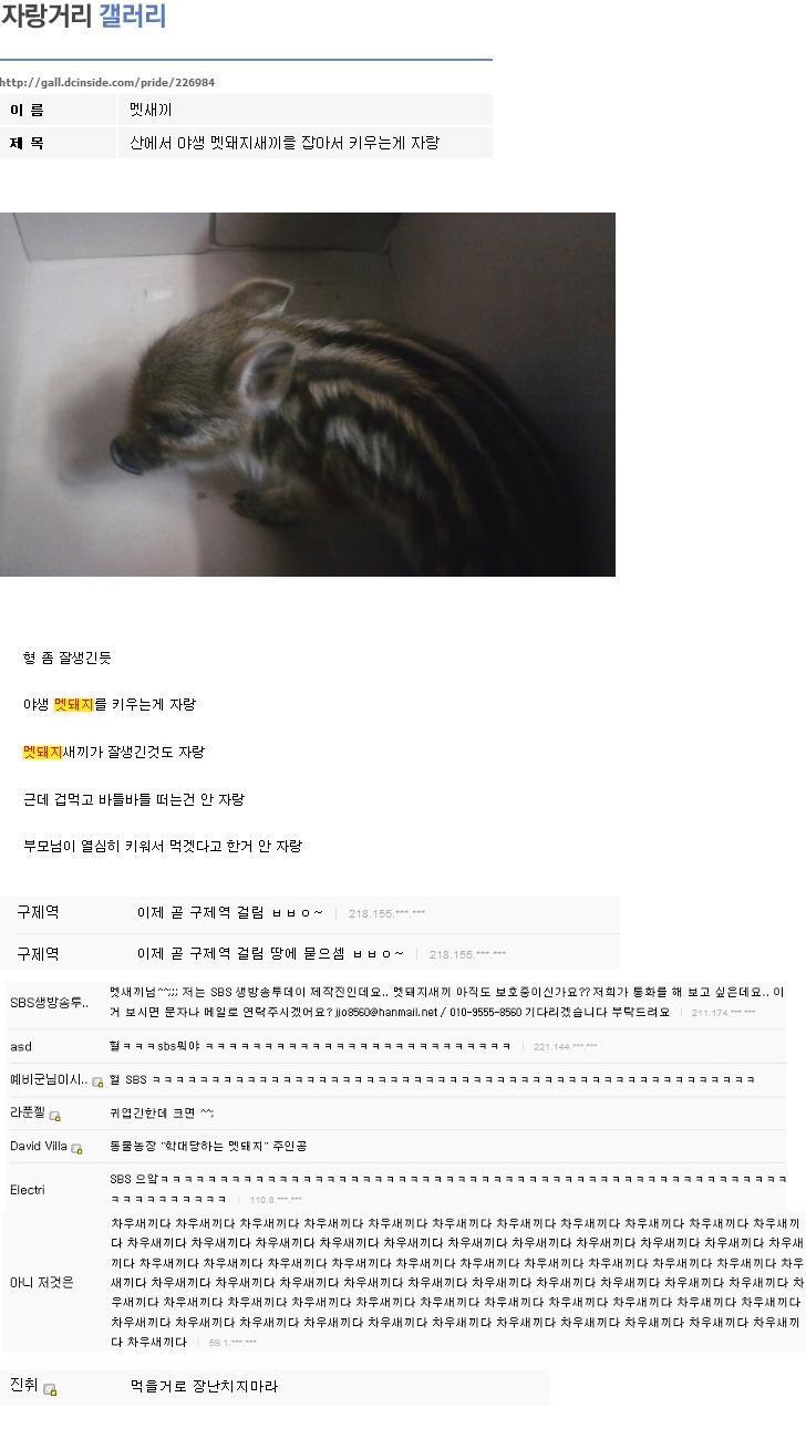디씨의 흔한 줍기 클라스.jpg | 인스티즈