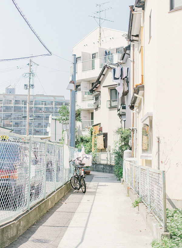  일본의 봄 분위기 vs 여름 분위기 | 인스티즈