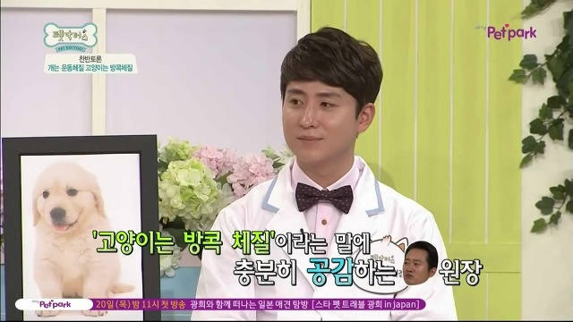 운동체질 강아지와 방콕체질 고양이?! | 인스티즈
