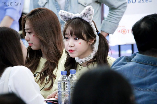 볼따구 꼬집으면서 괴롭히고 싶은 아이돌.gif | 인스티즈