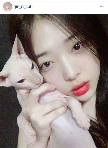 설리 생각하면서 쓴 가사?.jpg | 인스티즈