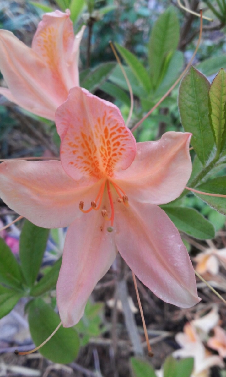 구봉화랑 이미지
