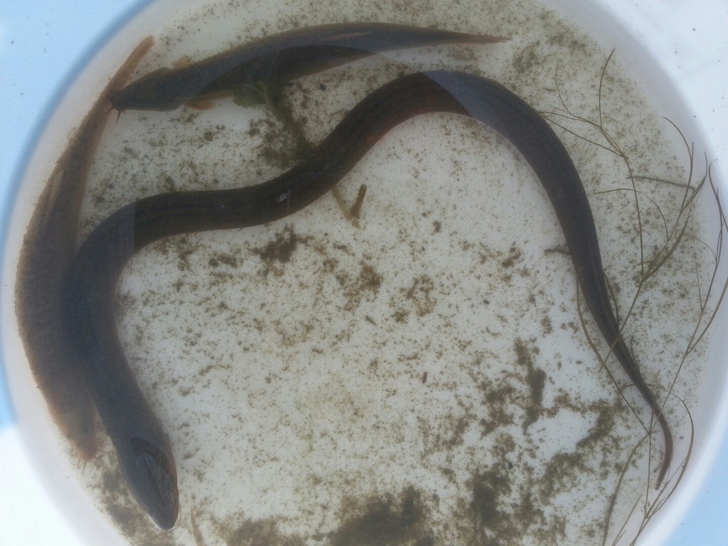 (주)효소세상 이미지