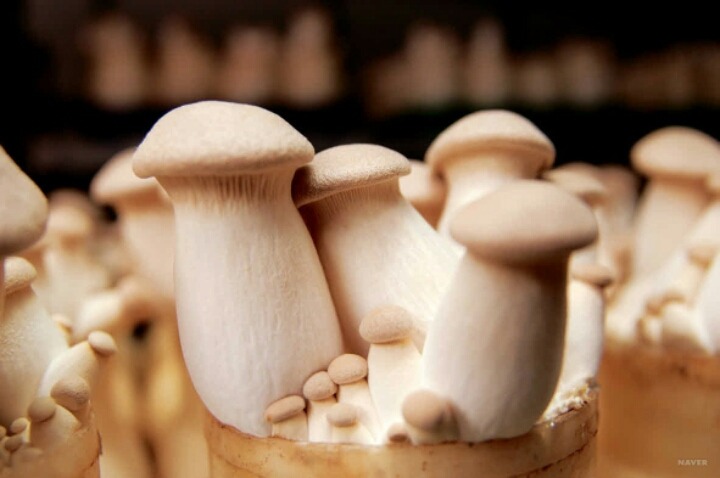 호불호 갈리는 음식 재료.jpg | 인스티즈