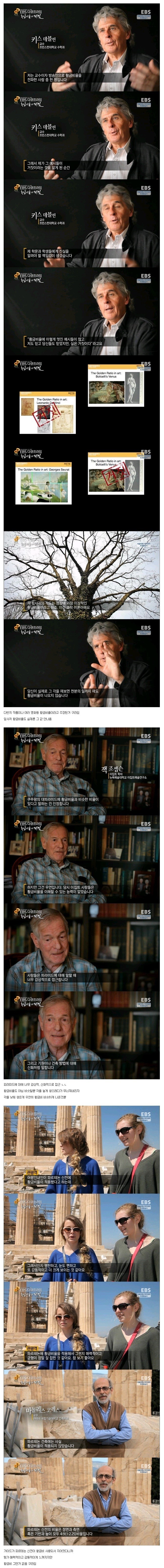 황금비율의 진실 | 인스티즈