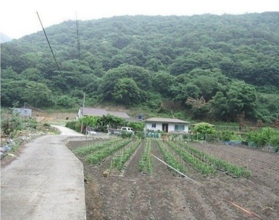 원동펜션 이미지