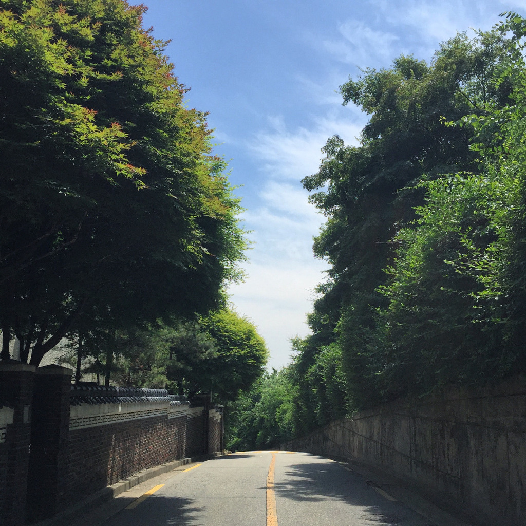  한국의 거리 모습 | 인스티즈