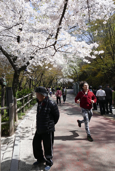 식구 이미지
