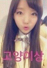 당신의 여자 친구는? | 인스티즈
