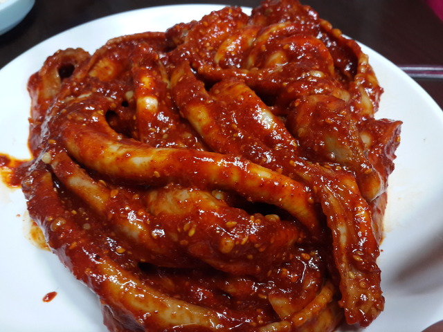 대구아나고곰장어 이미지
