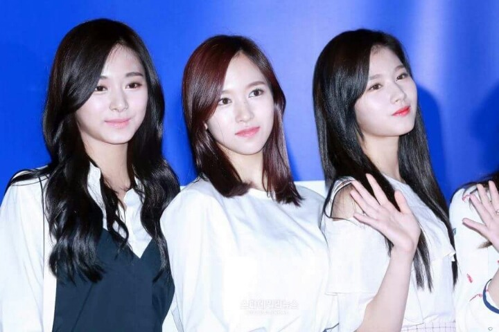 사나 정연이 나연이 | 인스티즈