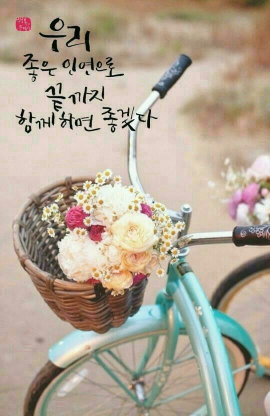 즐거운하루 이미지