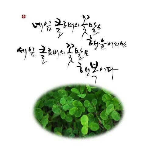 크로버 이미지