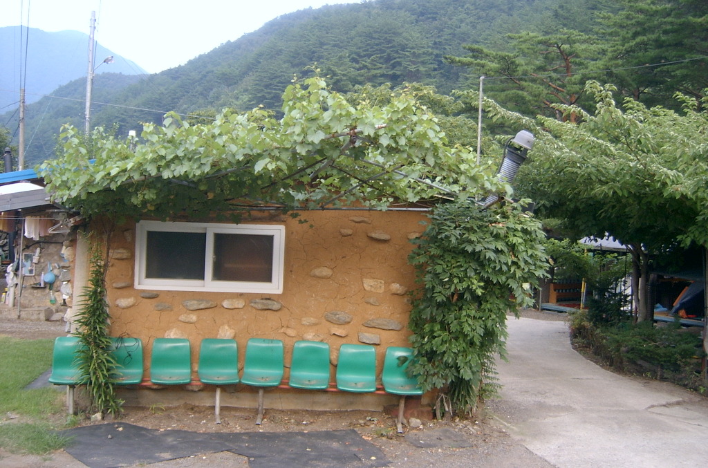 신흥민박 이미지