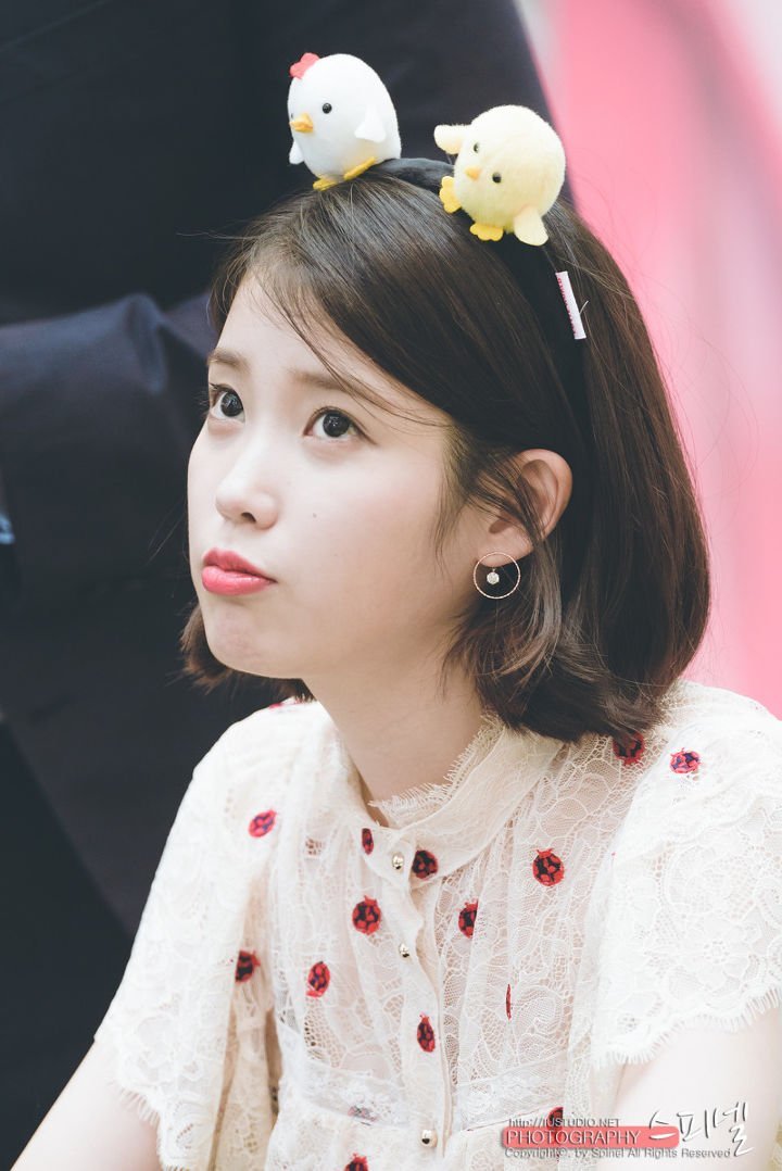 단발이 잘어울리는 아이유 | 인스티즈