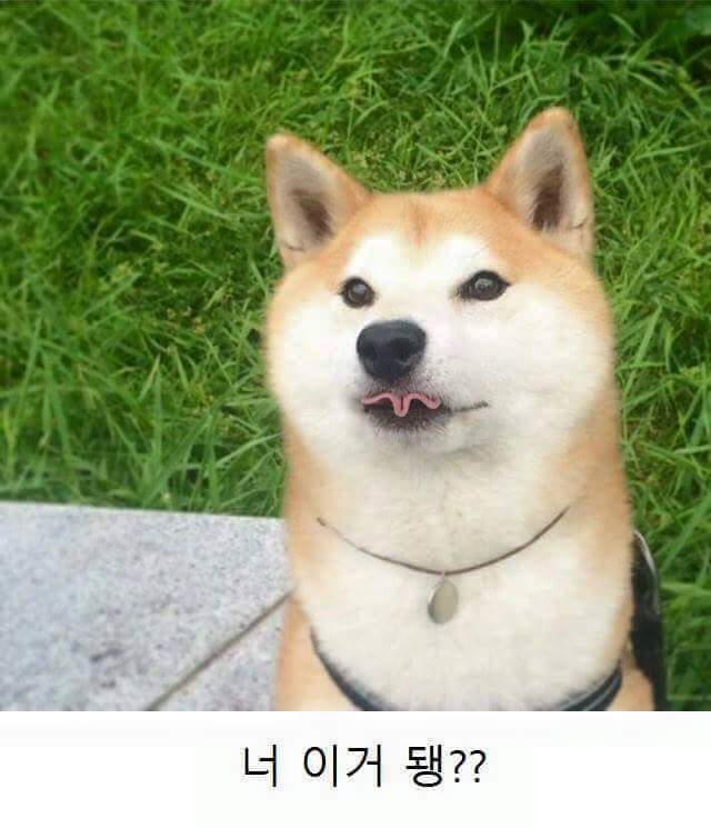 너 이거 돼?? | 인스티즈