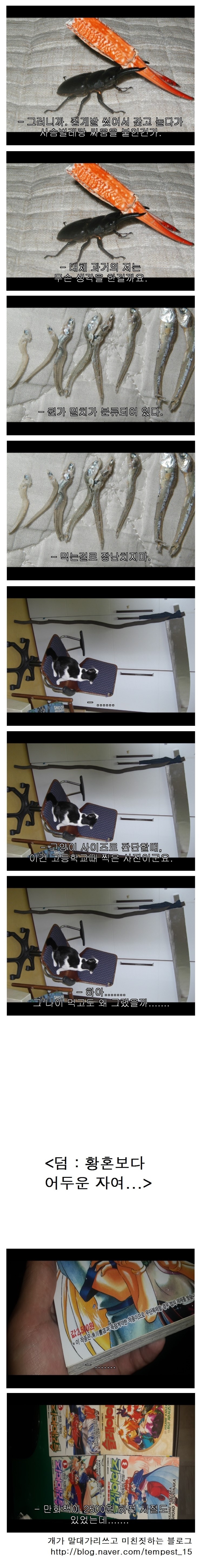  어린시절의 내가 쓸데없이 굉장했던 것에 대해 | 인스티즈
