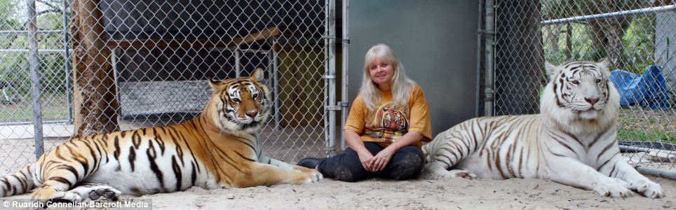 미국 플로리다의 흔한 애완냥이 체험 | 인스티즈