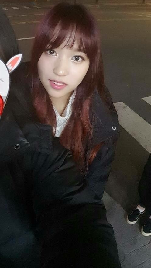 [트와이스] 홍대 명동에서 노는중~ | 인스티즈