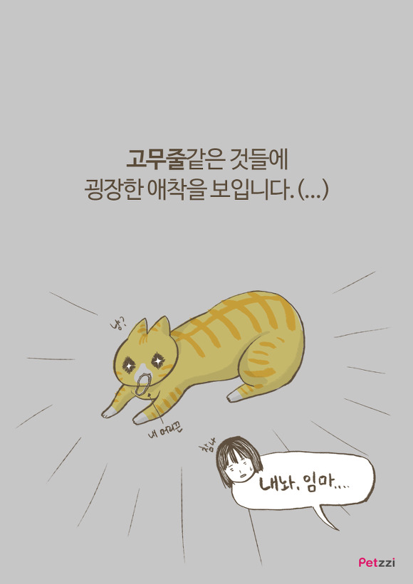 고양이 키우다 보면 느끼는 고양이의 소소한 취향.jpg | 인스티즈