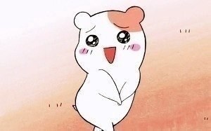 비비나라 이미지