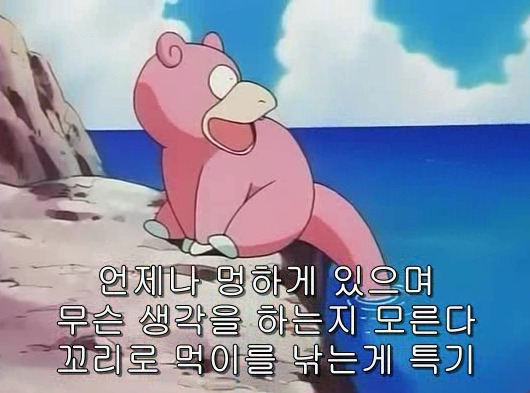 포켓몬스터 빠가사리같은 얘네만보면 답답해 뒤짐 | 인스티즈