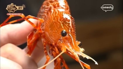맛있는 녀석들 레전드 새우편.jpg | 인스티즈