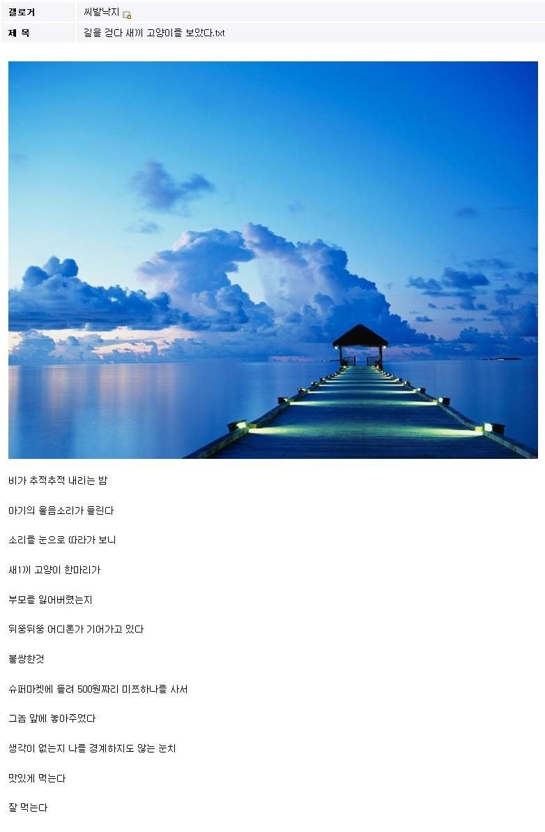 어느 한 디시인의 이야기.JPG | 인스티즈
