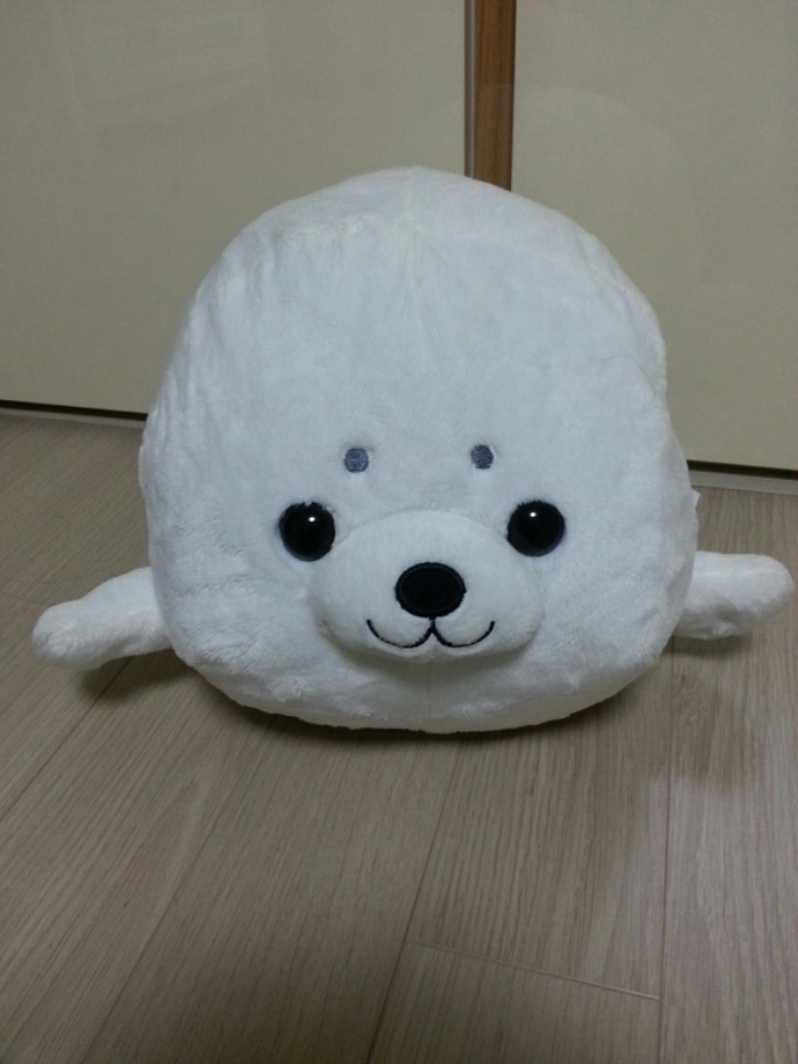 위드쫑 이미지