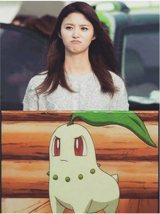 치코리타 닮은 아이돌.jpgif | 인스티즈