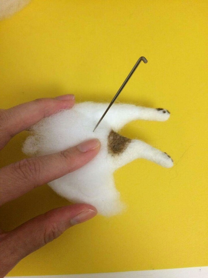 고양이 태어나는 과정 | 인스티즈