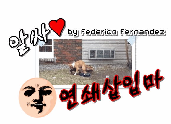 맥심 4월호 달샤벳 수빈,우희.gif | 인스티즈