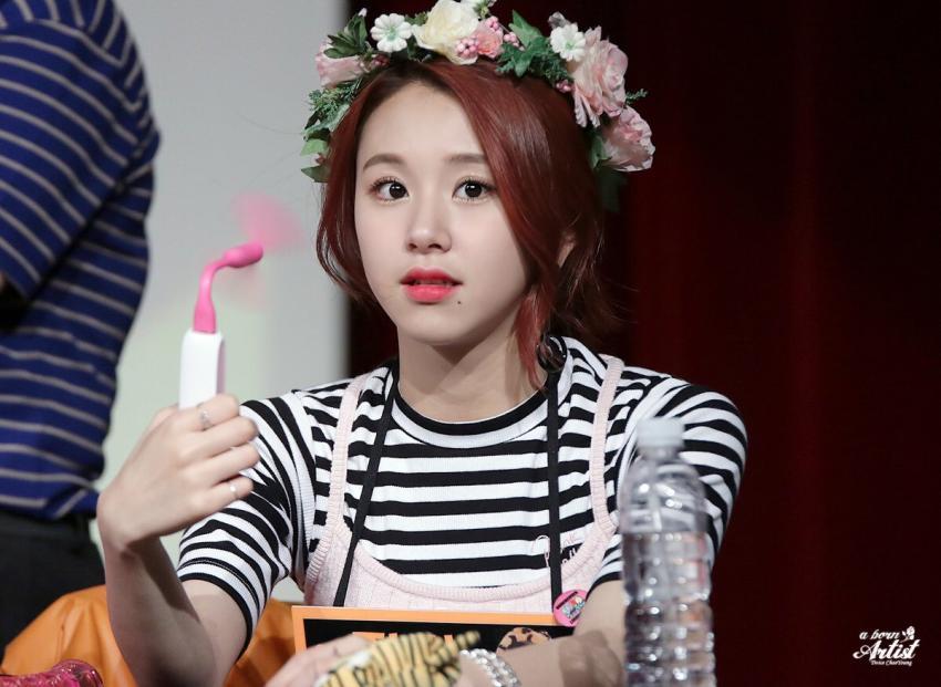 [트와이스] 아기맹수 채영이 짤 모음.gif | 인스티즈