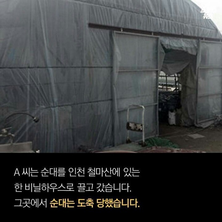 개먹는건 자윤데 남의 개 훔쳐가지 말라고 나쁜 (와이) | 인스티즈