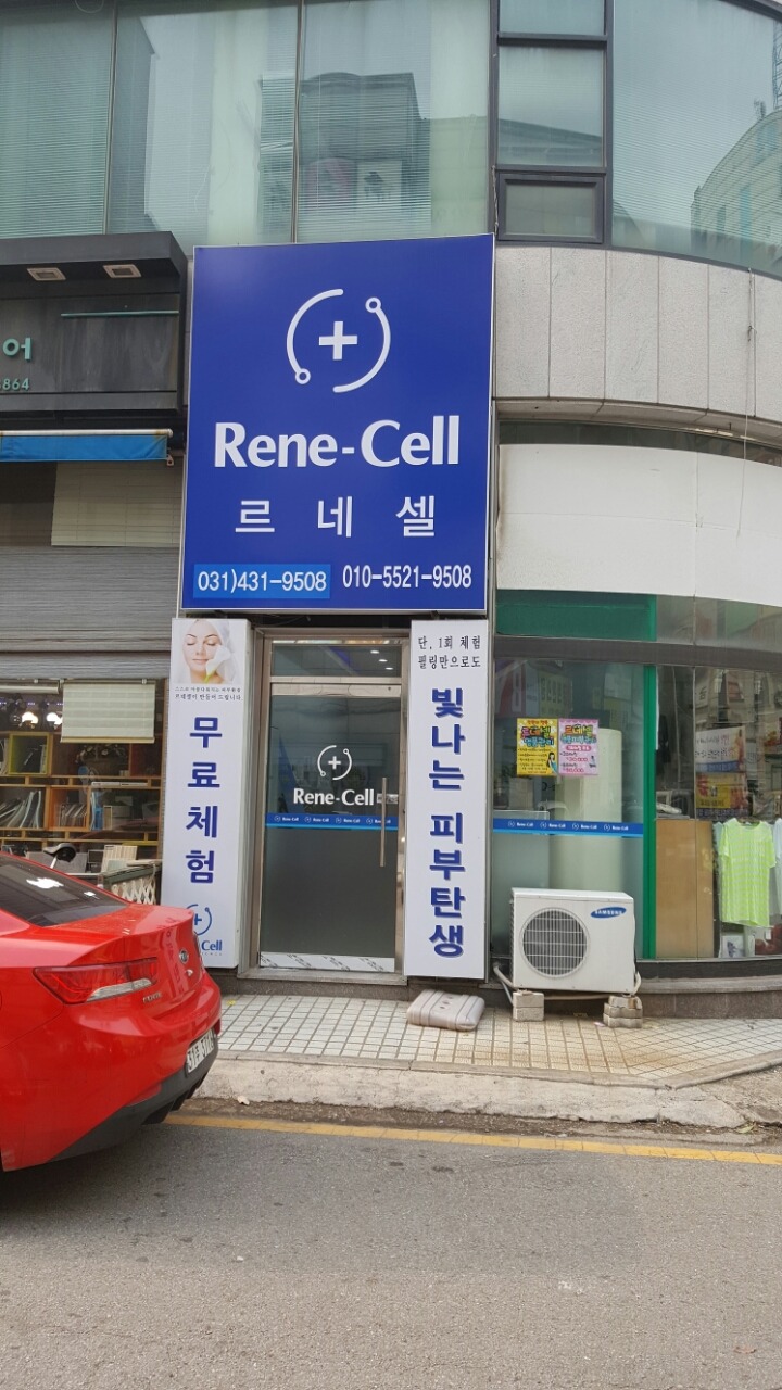 르네셀화장품 이미지