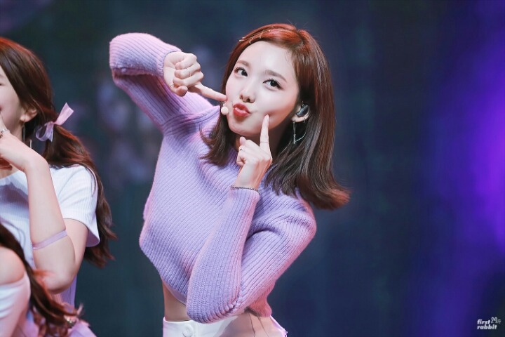 씨디 이미지